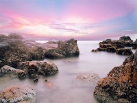 Quis nemo ut possimus porro.